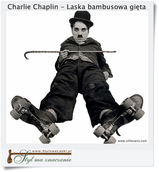 laska bambusowa Charlie Chaplin